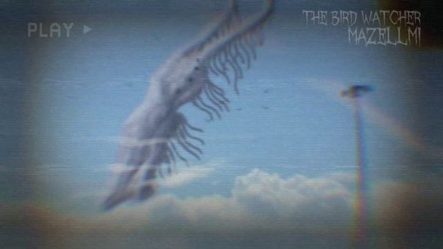 The Bird Watcher Sounds