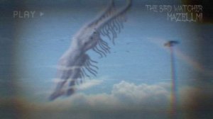 The bird watcher sounds