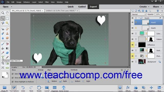 Photoshop Elements 2019 Tutorial Text Basics Adobe Training смотреть онлайн