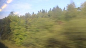 От Кубинки до Тучково - по живописным лесам мчим летним утром на пустом экспрессе «РЭКС»