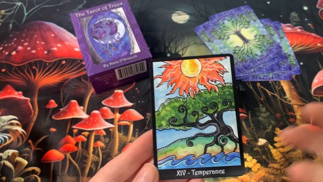 Обзор колоды «Таро Деревьев»🌲🌳🌲The Tarot of Trees. смотреть онлайн