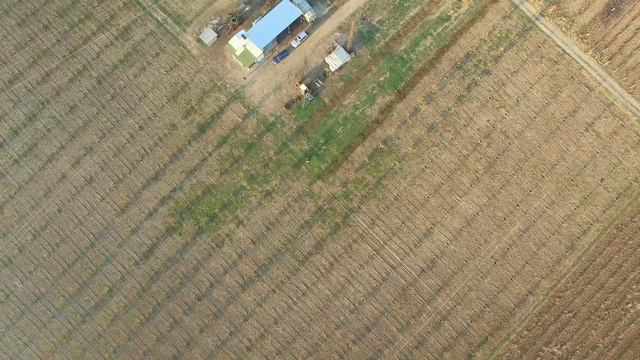 Cherry garden II смотреть онлайн