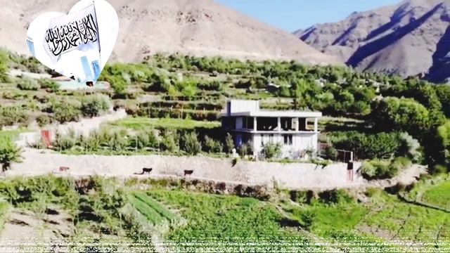 Panjshirپنجشير#panjshir #kabul #nazam #pashto_naat #tarana  #afghanistan #افغانستان #muslimonline