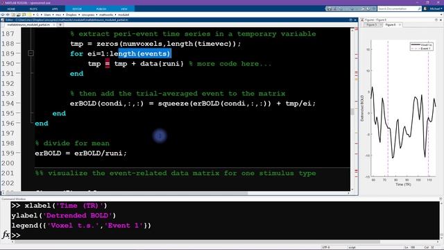 Essentials of Neuroscience with MATLAB: Module 4-4 (FMRI) смотреть онлайн
