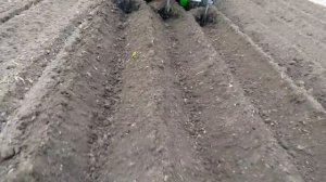 Картофелесажалка Bomet Посадка