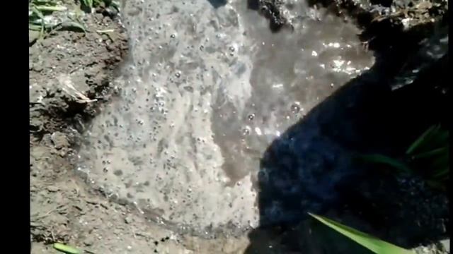 Борьба с МУРАВЬЯМИ и ТЛЁЙ .Мой опыт. смотреть онлайн