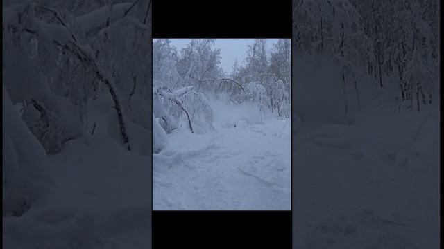 Когда жена не слушается... смотреть онлайн