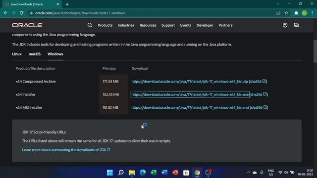 How to install java jdk / java jre in windows 11 ? смотреть онлайн