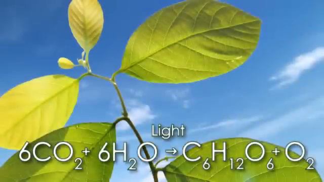 What is CO2? смотреть онлайн