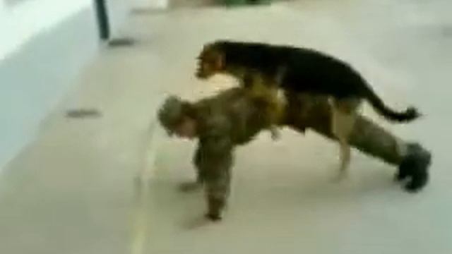 ...pare 100 смотреть онлайн