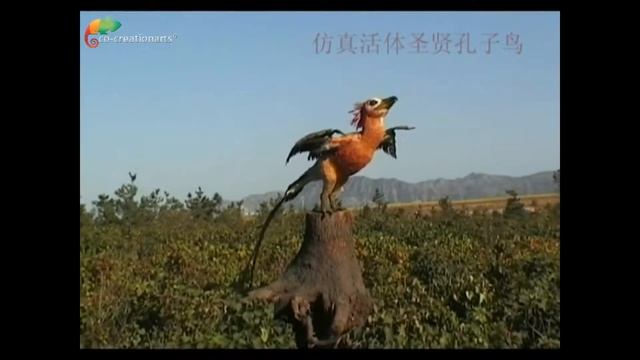 Artificial Confuciusornis
