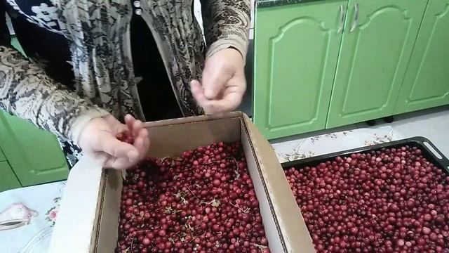 Как быстро перебрать клюкву и способы хранения в домашних условиях. смотреть онлайн