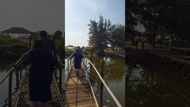 A view of wonderful Mandrem beach in Goa смотреть онлайн