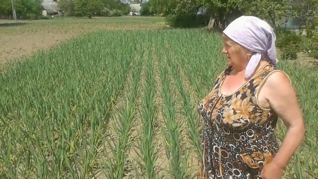 Дача, огород - круглый год. смотреть онлайн