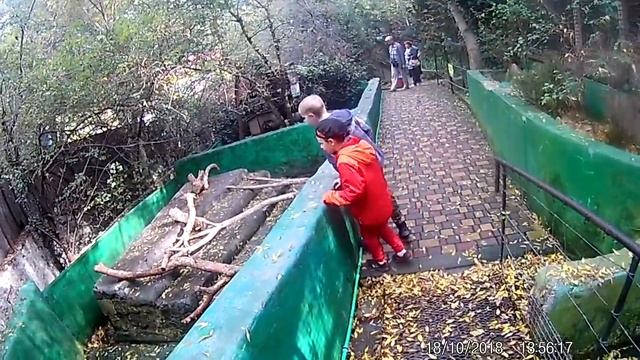 Ялта. Зоопарк "Сказка"(3) смотреть онлайн