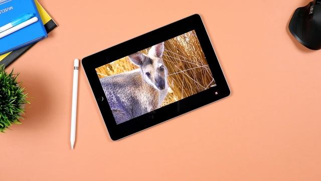 iPad 9 | 9 Months Later - Here's the TRUTH смотреть онлайн