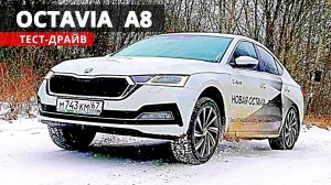 Чем новая ШКОДА ОКТАВИЯ А8 уступает А7 и УХОДИТ в D класс Skoda Octavia 2020. Авто энергетик.