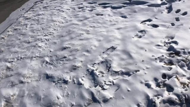 Зимняя прогулка ..-15С НА долго Нас не хватило. смотреть онлайн