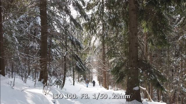 Обзор широкоугольного объектива Tokina AT-X 14-20/2 PRO SD DX