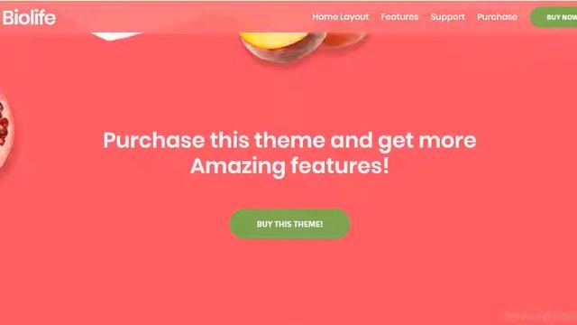 Biolife Organic Food WordPress Theme смотреть онлайн