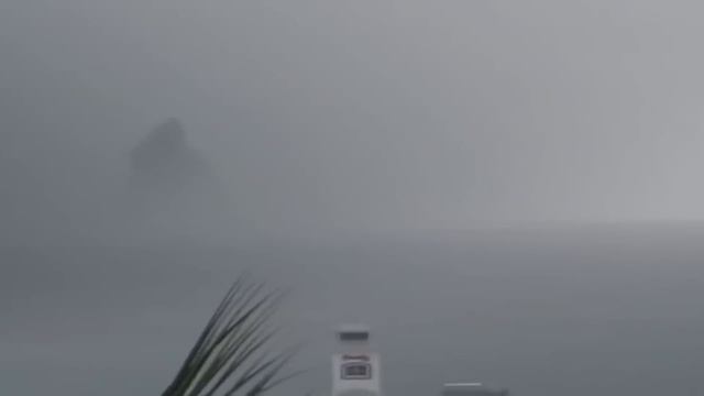 Gerçek Hayatta Kameraya Yakalanan 5 Godzilla Videosu смотреть онлайн