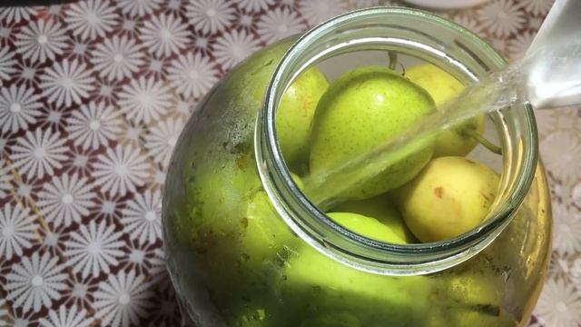 Наука о Животных и их Поведение