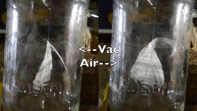 Feather in a Vacuum смотреть онлайн
