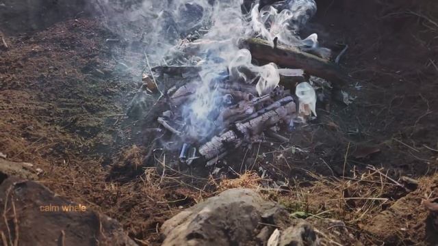 Gong Space - Theta Waves Deep Shamanic Meditation #CalmWhale смотреть онлайн