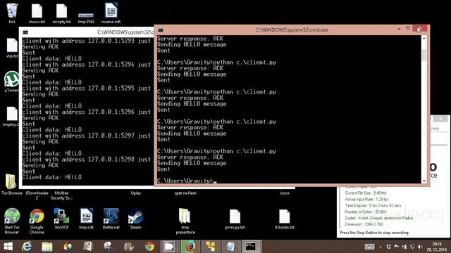 Python script for TCP client server communication смотреть онлайн