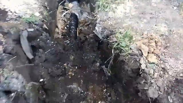 Выгребная яма и скважина - сообщающиеся сосуды? смотреть онлайн
