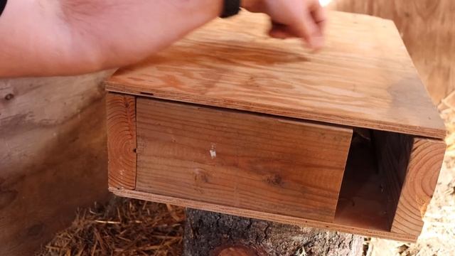 How To Catch Rats. A Better Way To Eliminiate Rats With This Amazing Rat Trap Box. Mousetrap Monday смотреть онлайн