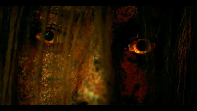 Wolf Pack: How Wolf Boy Talk Good?