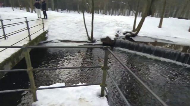 КРАСОТИЩА!!! мост, водопад, вдхр. Дрозды, Минск, Беларусь, 2021 _ #2 смотреть онлайн