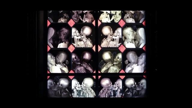 MaximD - Головокружение смотреть онлайн