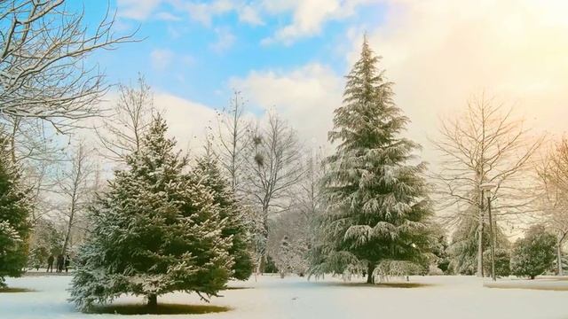 Christmas Tree | Stock Footage - Videohive