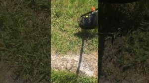 Электрокоса Sturm GT35160  обзор косы по скосу бурьяна(травы)