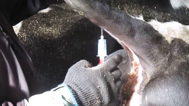 Кровь, ниже в комментариях читать ссылки смотреть онлайн