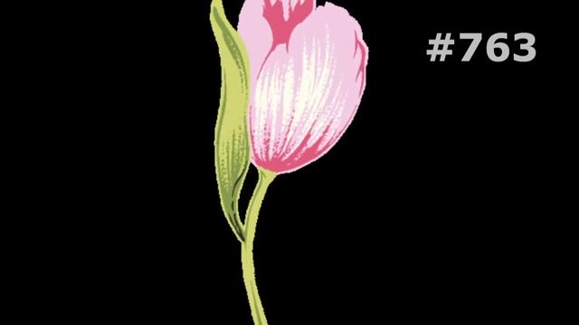 #763. Тюльпаны - очень красивые цветы смотреть онлайн