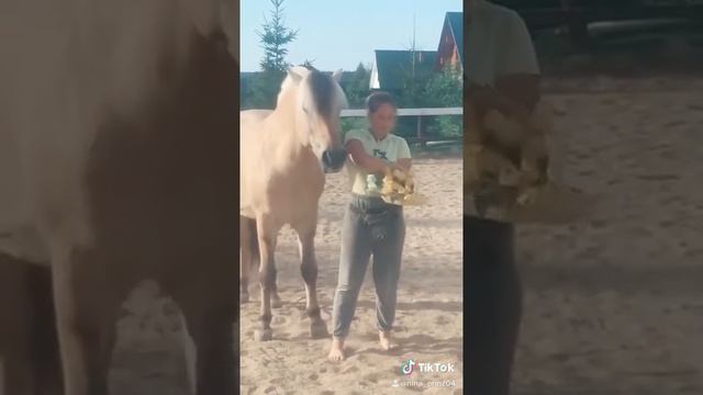 Диадем собирает цветочки мне в корзинку смотреть онлайн