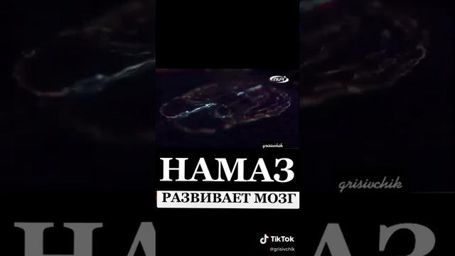 НАМАЗ РАЗВИВАЕТ МОЗГ 🕌 смотреть онлайн