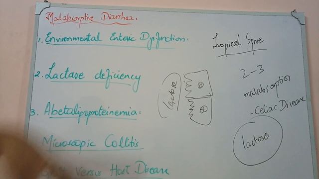 GIT PATHOLOGY lecture 28 MALABSORPTIVE diseases quick review смотреть онлайн