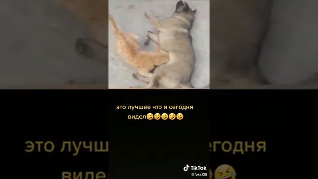 ((это лучше,что я сегодня видела)) смотреть онлайн