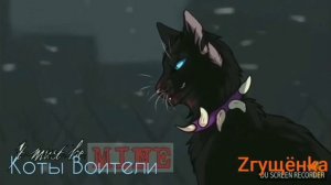 Клип Бич / Босс теперь он / Коты Воители (КВ)