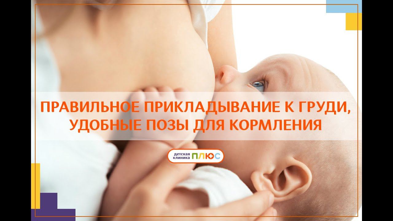 Правильное прикладывание ребенка к груди и удобные позы для кормления смотреть онлайн
