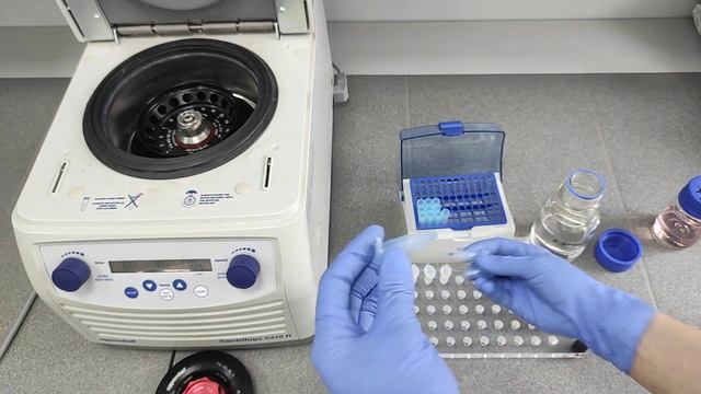 Выделение ДНК из растительной ткани. Часть 2. смотреть онлайн