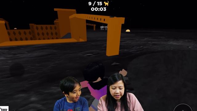 Ryan Helps Kittens and Adopts Cats in ROBLOX LOST CATS Let's Play with Ryan's Mommy смотреть онлайн