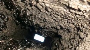 Как использовать сажу на огороде? (Садовод Андрей Туманов)