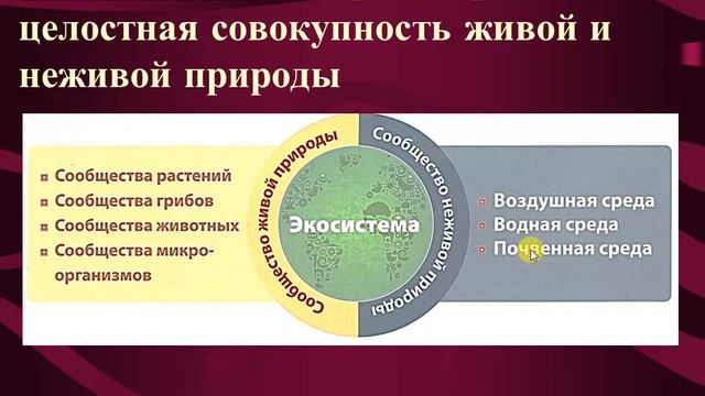 Вид, сообщество, популяция, экосиcтема и биосфера 8 класс смотреть онлайн