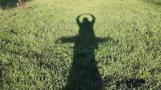 жужелица смотреть онлайн