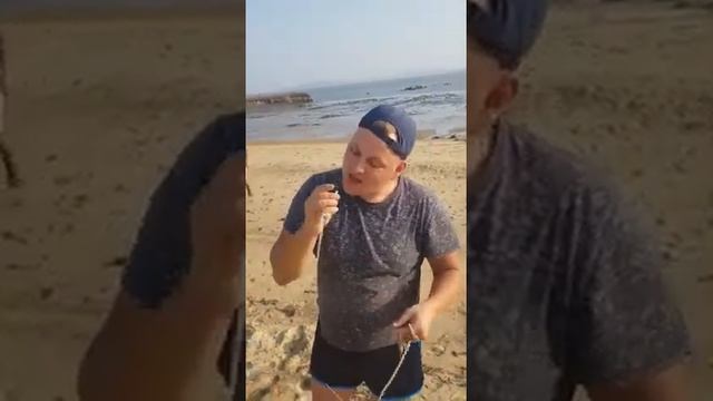Ем живого осьминога смотреть онлайн